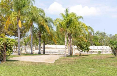 Tampa Bay Oasis - Foto 10