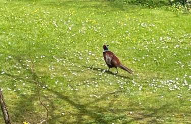 The Barn at Well Cottage - Foto 27