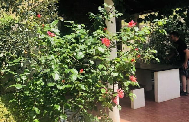 Green Village Kotor - Foto 70