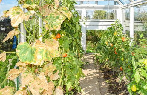 Dom W Sadzie - Photo 15