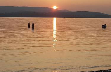Historisches Fachwerkhaus "Hoher Hirschen" mit romantischem Hof und Garten - Charmantes Studio und grosses, museales Apartment - Foto 13