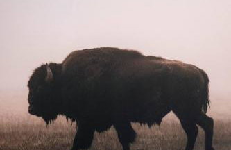 Quiet Creekside Walk to Downtown - Foto 32