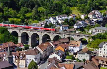 Schwarzwaldraum Schlossblick - Foto 27