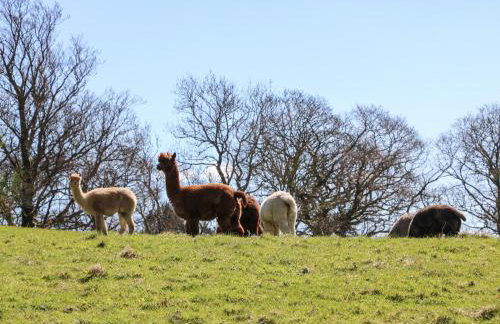 Burnt Mill Cottage - Foto 61