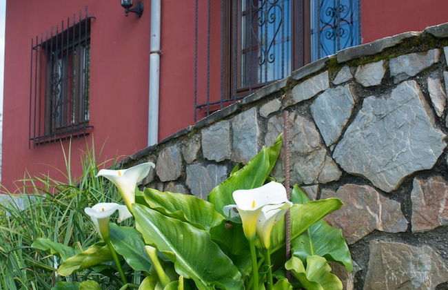 Los Candiles - Foto 37