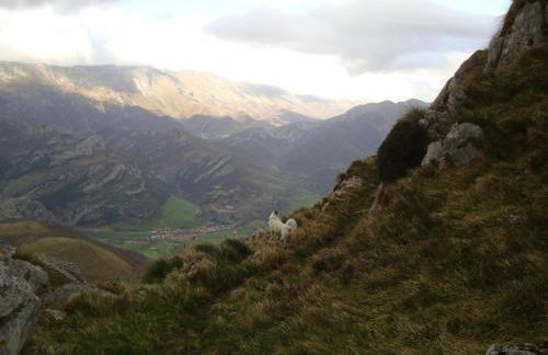 Apartamentos la Regoria - Foto 43