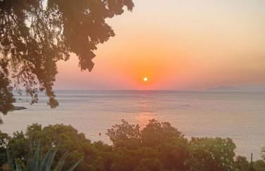 Residence Gerani - Foto 3