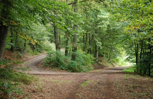 Haus Schneider Kätchen - Foto 27