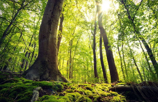 Holiday Home in Willingen-neerdar - Photo 18