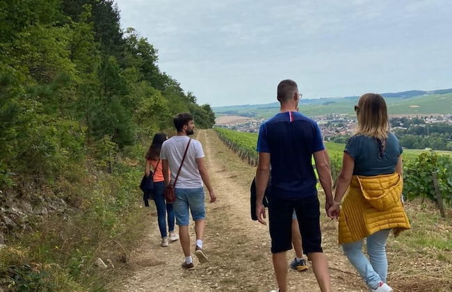 Les Appartements du Domaine Gueguen - Foto 27