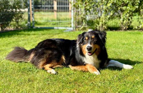 Fewo Tenne - Foto 12