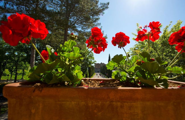 Agriturismo San Galgano - Foto 65