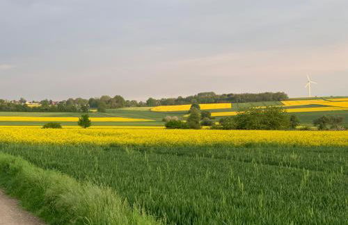 FeldQuartier - Foto 15