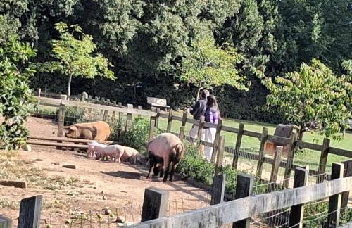 2Bed-Cabin Sleeps 4 WiFi Free Parking Sea Views - Photo 26