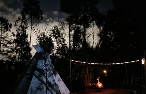 Yuccasa - Small Glamping Camping & Studio's - Foto 8