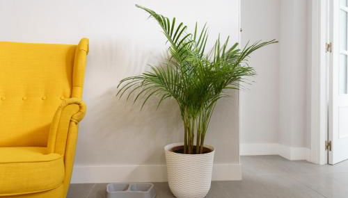 Apartamentos Circulo De Artistas - Photo 4