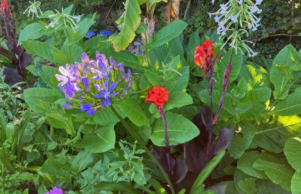 Fuchsia Cottage - Foto 80