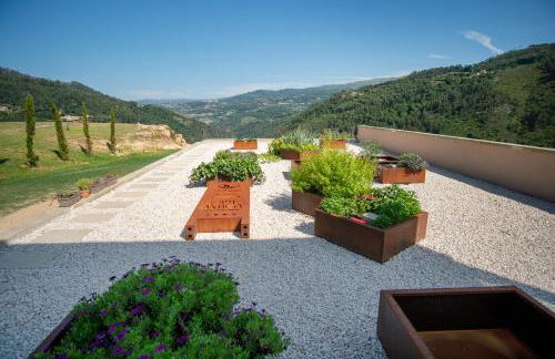 Quinta de Cabanas Douro Country House - Foto 29