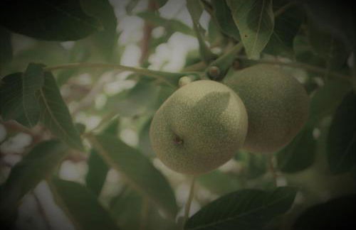 Chrisi Holiday Home - 500 sqm Private Gardens & Nature View - 300m by the sea - Photo 63