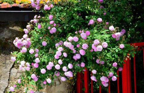 Appartamenti Tortorella - Foto 50