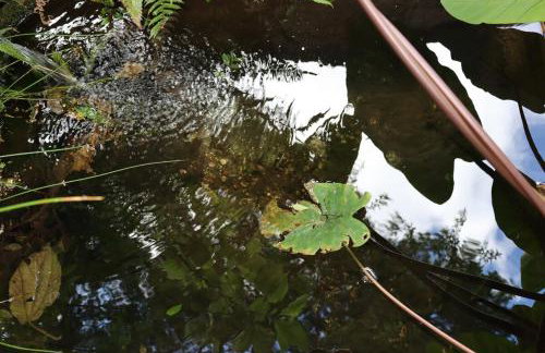 Casa no Centro Com Vista Panorâmica - Photo 31
