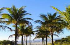 Chales Aconchego JN - Foto 13