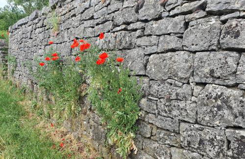 Kellerei5 Ferienwohnung 1 - Foto 17
