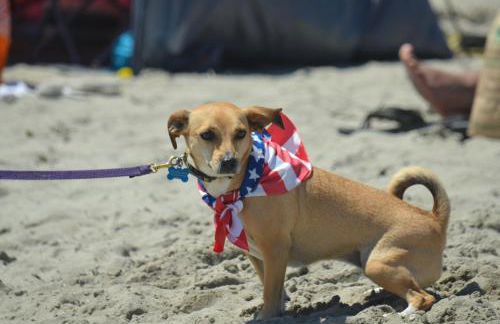 Avila Beach Retreat - Foto 21