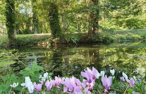 Gite La Suite Ducale Chateau La Roche Racan - Foto 25