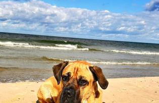 Ferienhaus Sieroslaw polnische Ostsee mit Kamin - Photo 36