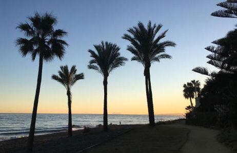 Mon paradis au soleil - Photo 65