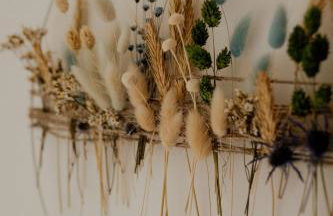 Lipa pod groniem - Photo 36