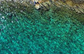 Villa Brac - Photo 80