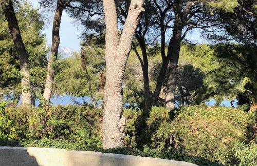 Villa de Charme au coeur du Cap-Ferrat - Photo 4