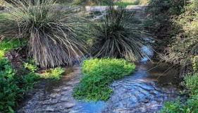 Casa De Madera, A home from home. - Foto 5