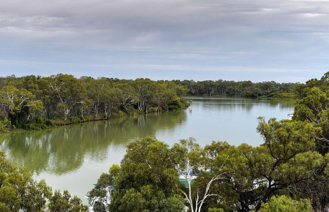 The Frames - Foto 41