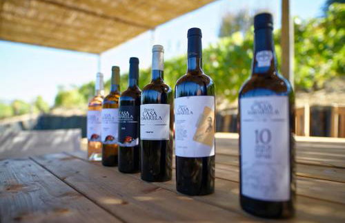 Quinta da Casa Amarela- Casas da Quinta - Turismo em Espaço Rural - Foto 47