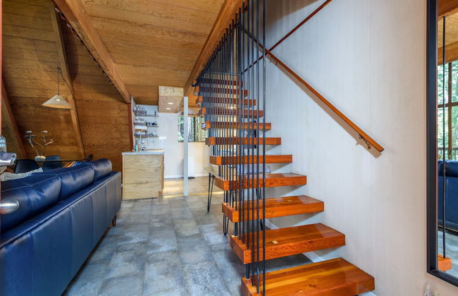 Star Nest - Photo 16