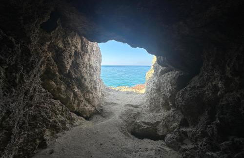 Alba Chiara Licata - Foto 5