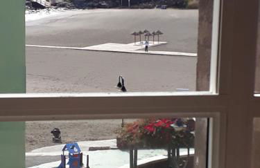 Tu rincon en Playa de Melenara - Foto 19