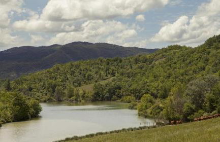 Agriturismo Piettorri - Foto 44