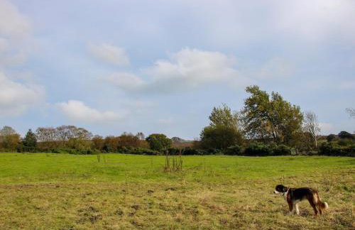 The Chicken Coop - Foto 26