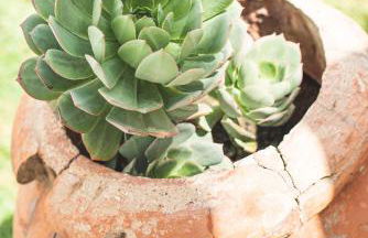 Paraíso en la Playa - Heated Pool Service - Foto 64