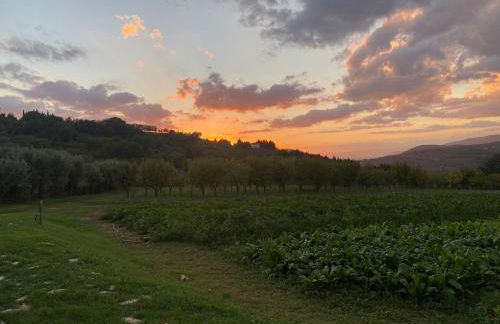 Appartamento Piero - Foto 49