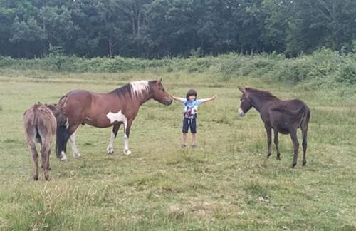 eco nature, gite à la ferme - Foto 24