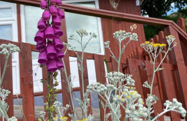 Cosy private Chalet - Foto 14