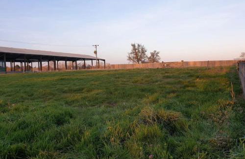 The Old Dairy Accommodation - Foto 9