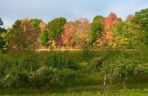 Unique Fully Restored Landmark Barn in Hudson - Foto 7