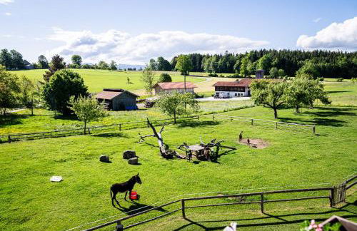 Thalerbauer Ferienwohnungen - Foto 40