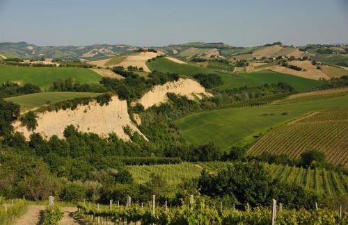 Agriturismo Fiorano - Foto 36